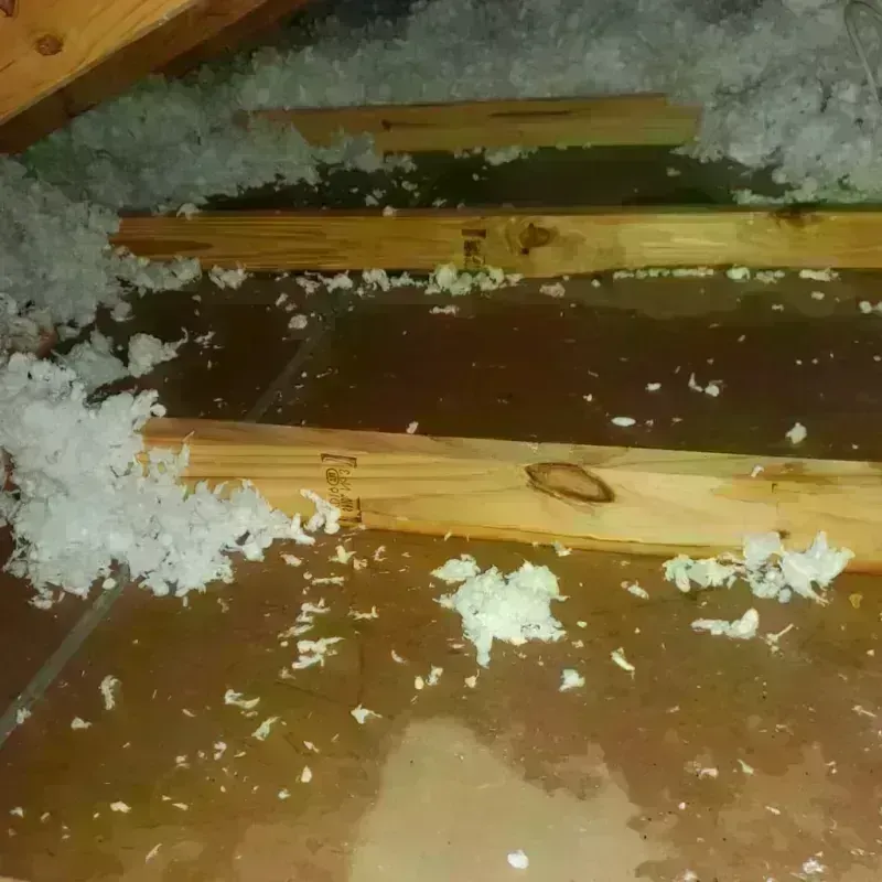 Attic Water Damage in Meyersdale, PA